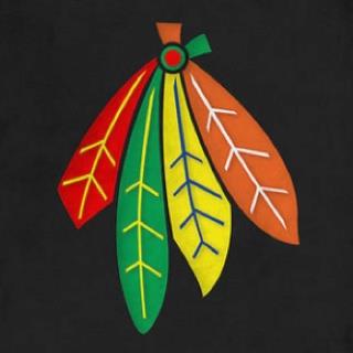 Blackhawks Feathers
